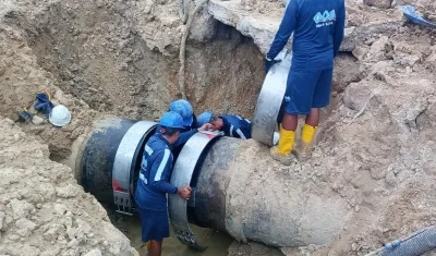 Imagen de referencia.