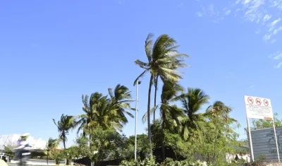 Los vientos pueden generar emergencia en la ciudad. 