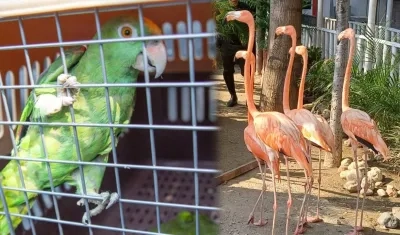 Estaban en un hotel de Santa Marta.