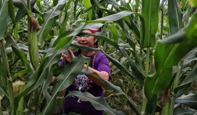 Mujer atlanticense en proyectos agrícolas