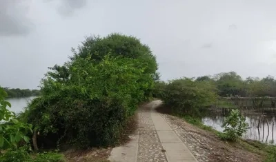 Lugar donde fue encontrado el cuerpo.