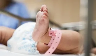 Imagen de referencia.