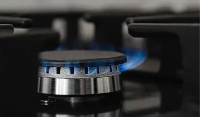 Imagen de referencia.