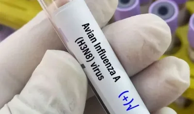 Imagen de referencia.