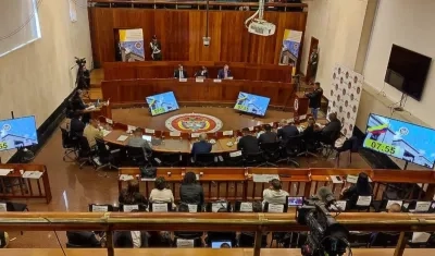 Corte Constitucional. 