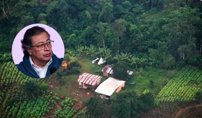 Presidente Gustavo Petro / Imagen referencial de cultivos ilícitos.