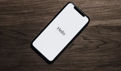 Imagen de referencia.