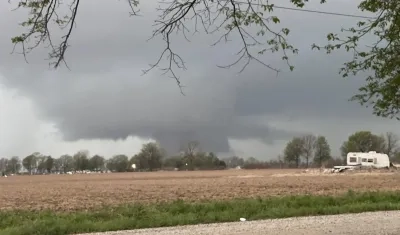 Imagen de referencia