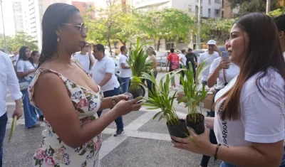 Entrega de la palma de areca.