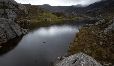 Páramo de Santurbán.