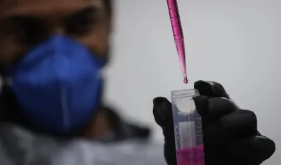 Imagen de referencia.