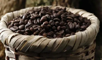 Imagen de referencia.