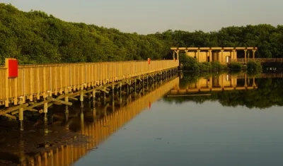  Ecoparque Ciénaga de Mallorquín, un espacio vivo de conexión. 