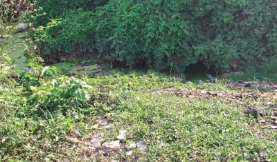 Cuerpo hallado en descomposición. 