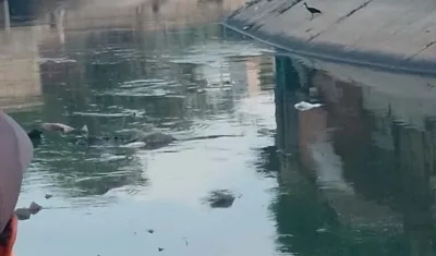 Lugar donde fue hallado el cuerpo.