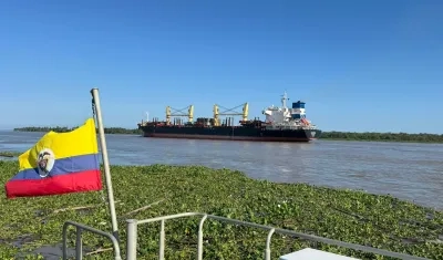 Imagen de referencia.