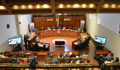 Corte Constitucional.