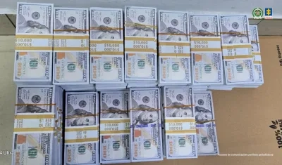 Dólares falsos incautados.