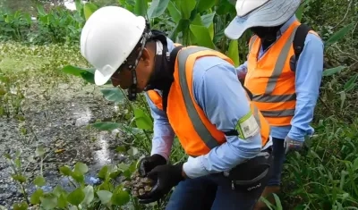 Ecoplanet lidera procesos de sostenibilidad.