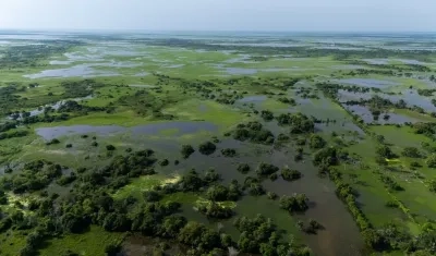 Imagen de La Mojana.