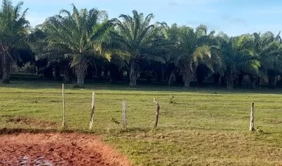 Imagen de referencia.