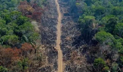 Aspecto de la Amazonía.