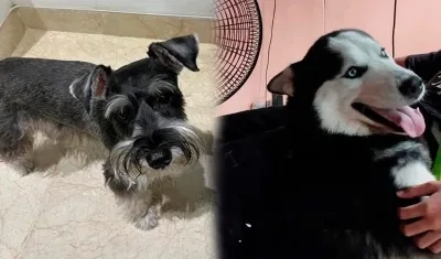 'Jack' e 'Ian José'. 