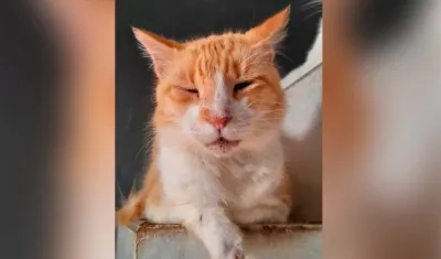 Fotografía de 'Mocha'.