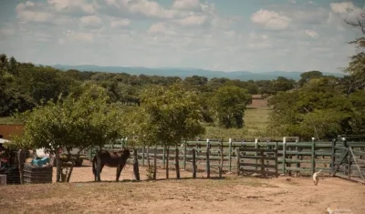 Regional Cesar corrobora cuales funcionarios habrían realizado las conductas denunciadas.
