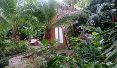 Ecohabs Bamboo Tayrona.