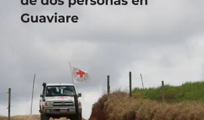 Imagen de referencia.