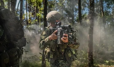 Imagen de referencia.