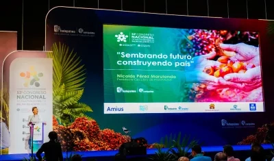 Nicolás Pérez Marulanda, presidente Ejecutivo de Fedepalma.