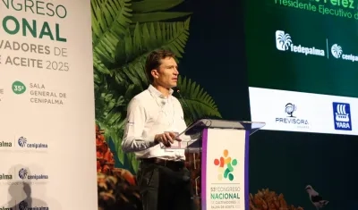 Nicolás Pérez Marulanda, presidente Ejecutivo de Fedepalma.