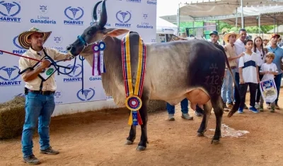Atlántico, invitado especial en la Feria de la Ganadería de Montería.