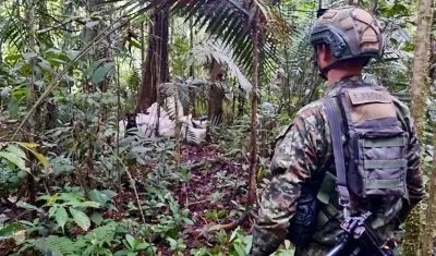 Imagen de referencia.