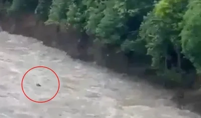 El hecho tuvo lugar en Mesetas, Meta. 