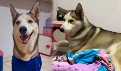 Fotografías de 'Maxi'. 