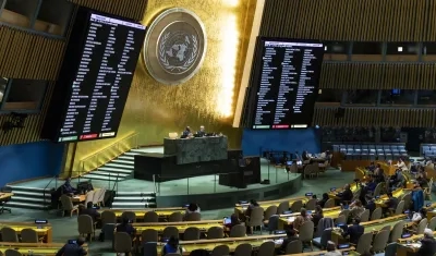 Asamblea General de las Naciones Unidas.