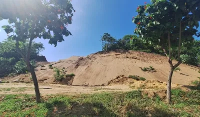 Coadyuvan acción popular interpuesta por la Procuraduría.