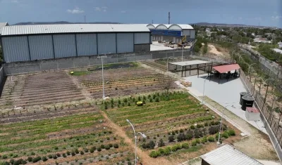 Huerta comunitaria del barrio La Paz.