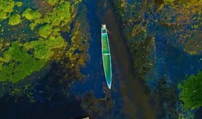 Así se ve la ciénaga en Nueva Venecia