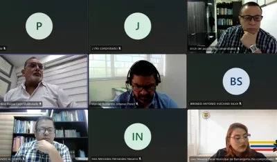 Aspecto de la audiencia virtual de este jueves. 