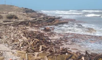 La investigación se llevó a cabo en siete playas remotas del Caribe colombiano. 