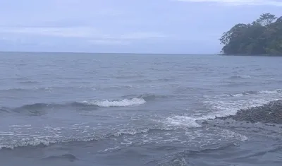 Imagen de referencia.