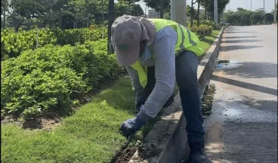 Intervención en corredor portuario.