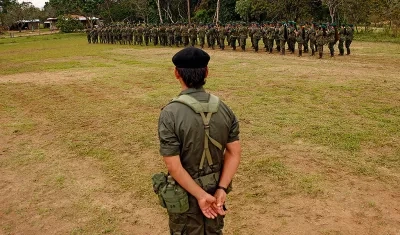 Disidencias de las FARC. 