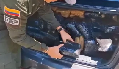 Marihuana incautada. 