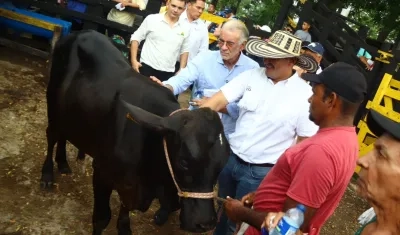 Esta iniciativa beneficiará a 70 pequeños ganaderos del departamento.