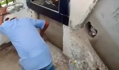 El incidente ha desatado una alerta sobre la posible realización de rituales de santería con animales.